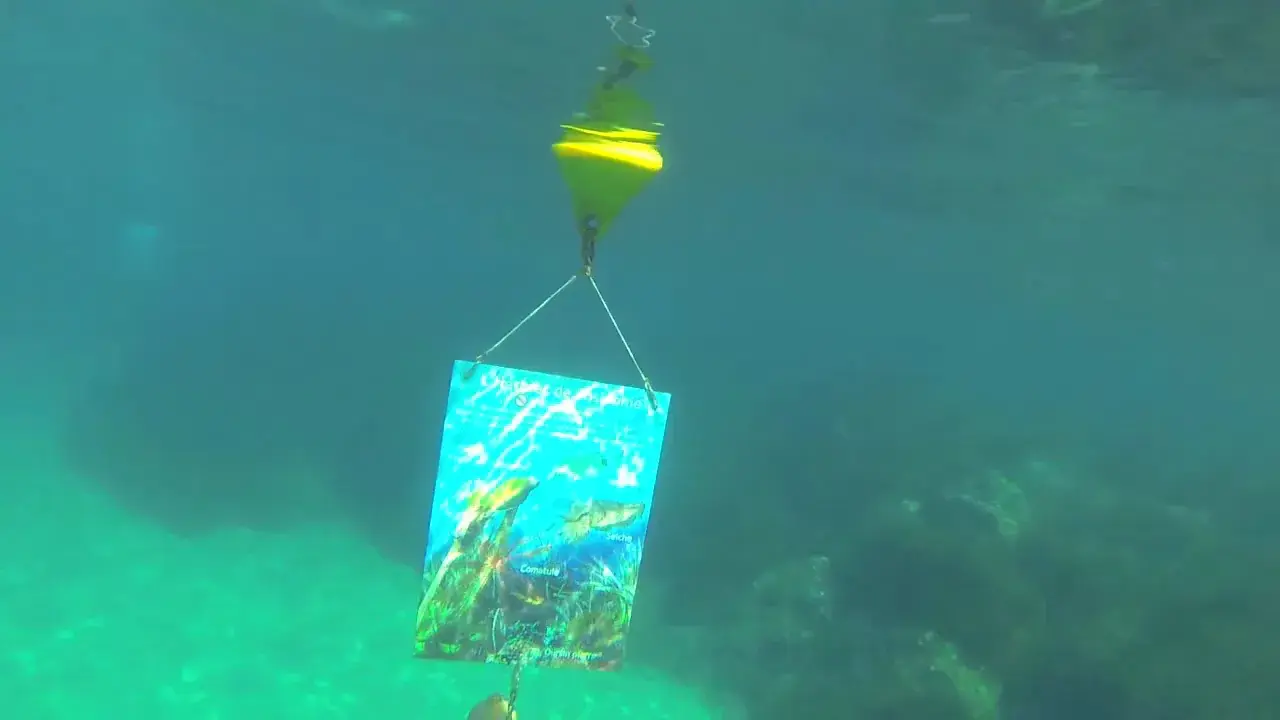 le sentier sous-marin de la tour fondue