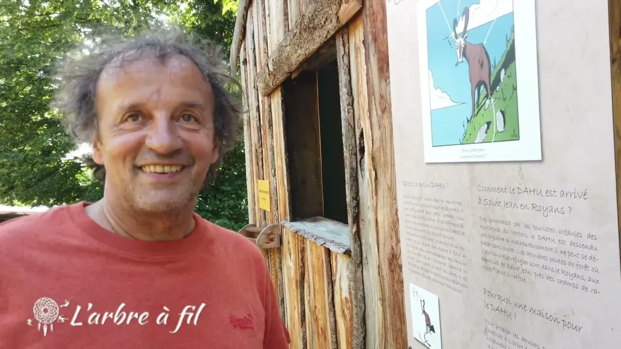 l'arbre à fil en images