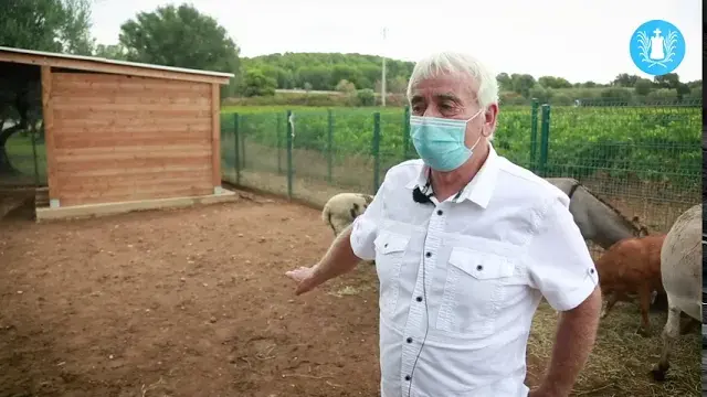 le cabanon des vignes