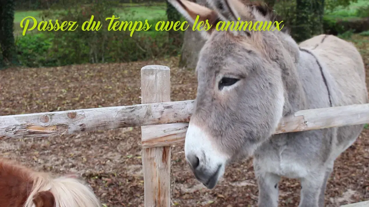 Domaine de la Dombes