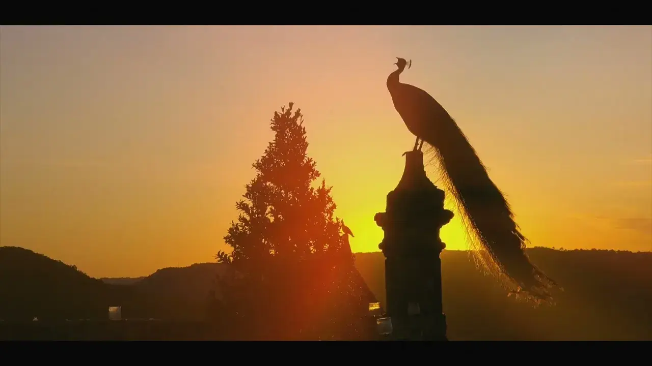 Les Jardins de Marqueyssac - Animations et vues drone