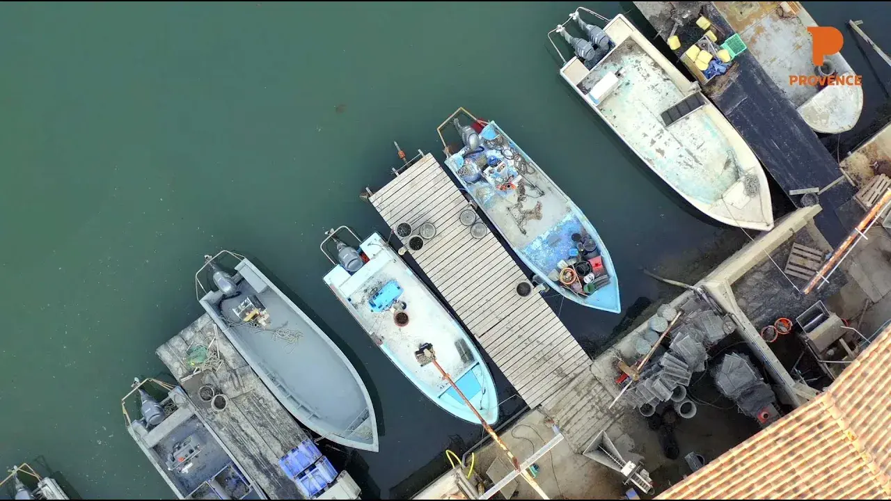 Portrait de Maria Nieves Castejon, éleveuse de coquillages en Camargue