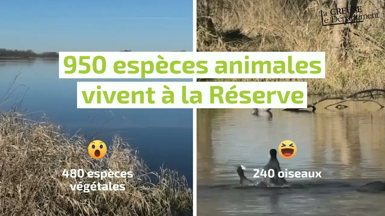 L'Etang des Landes (Lussat)