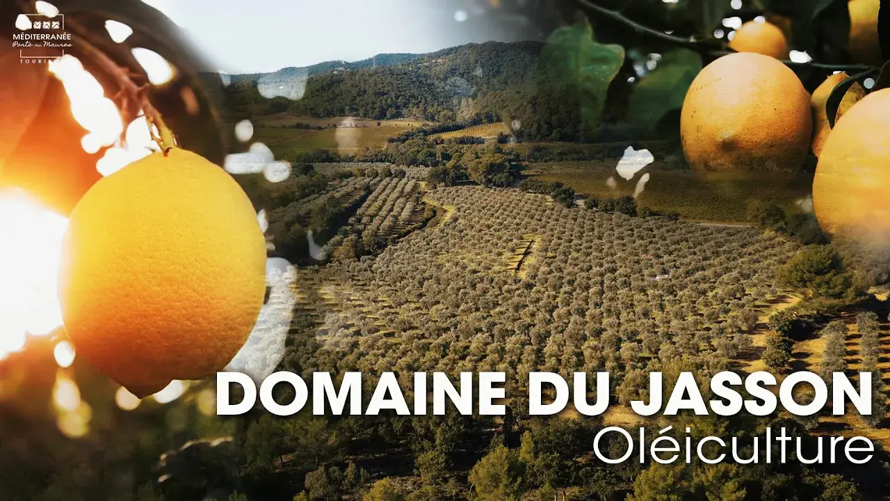 le domaine du jasson