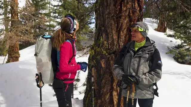 Interview Michel Blanchet