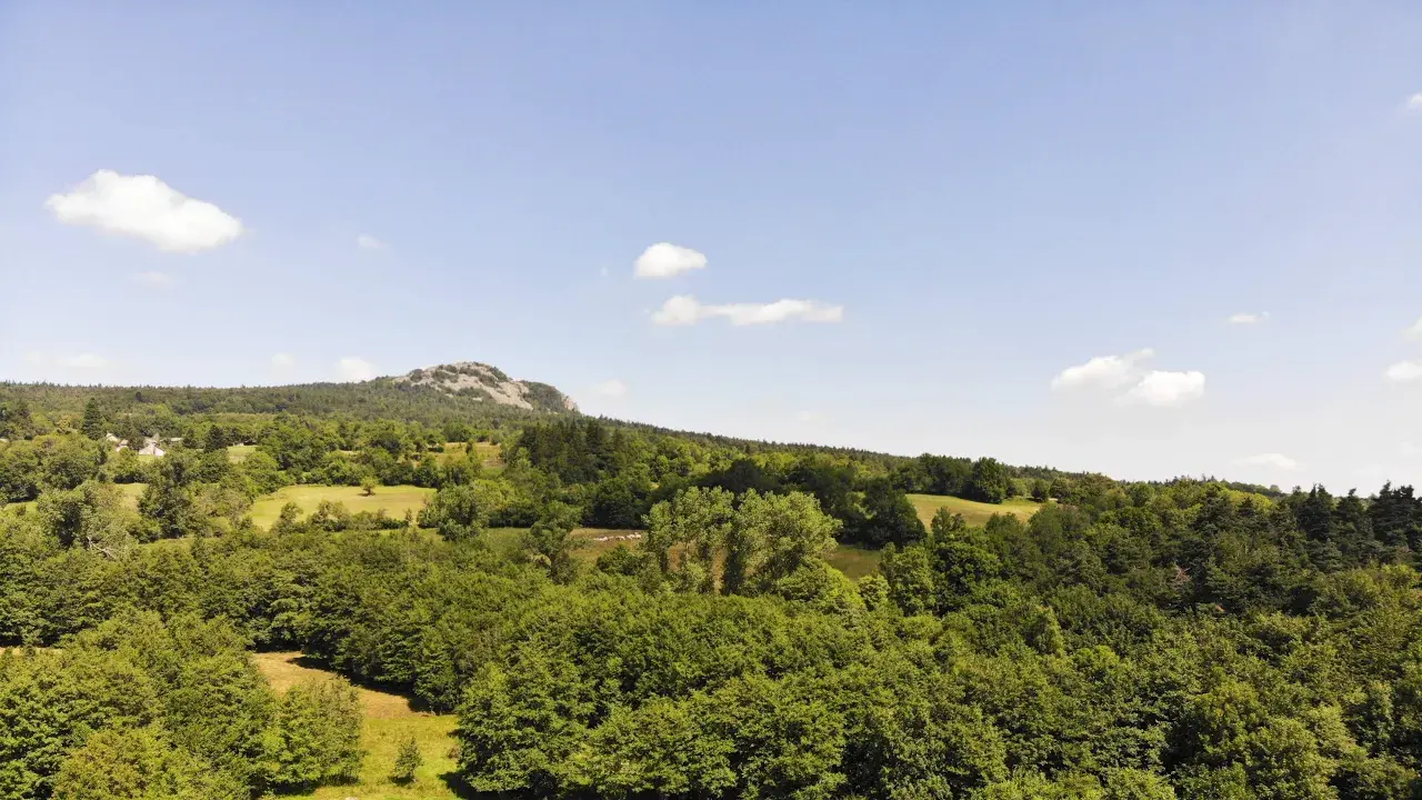 Le pic du Lizieux et sa forêt