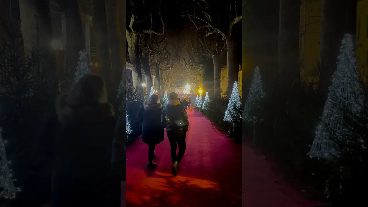 Un aperçu en vidéo...