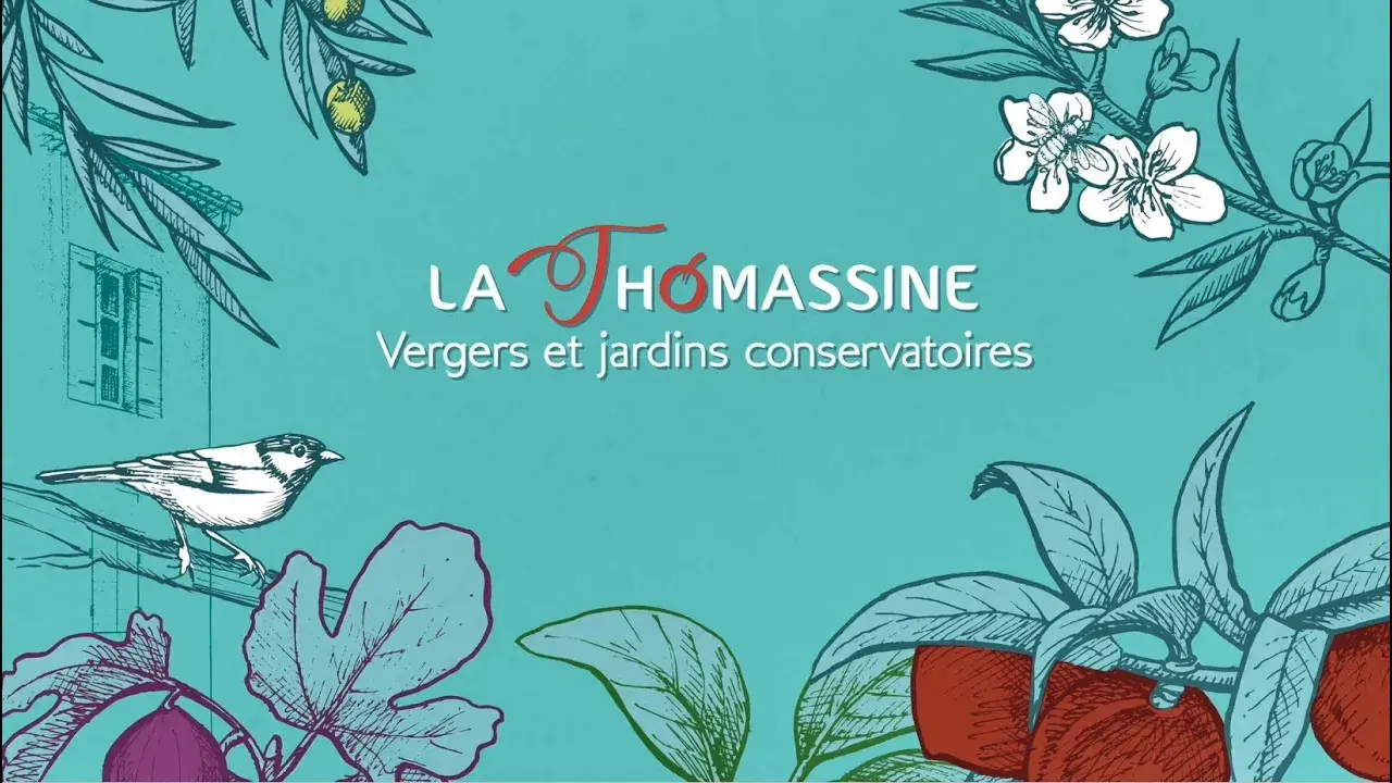 Titre de la vidéo manquant