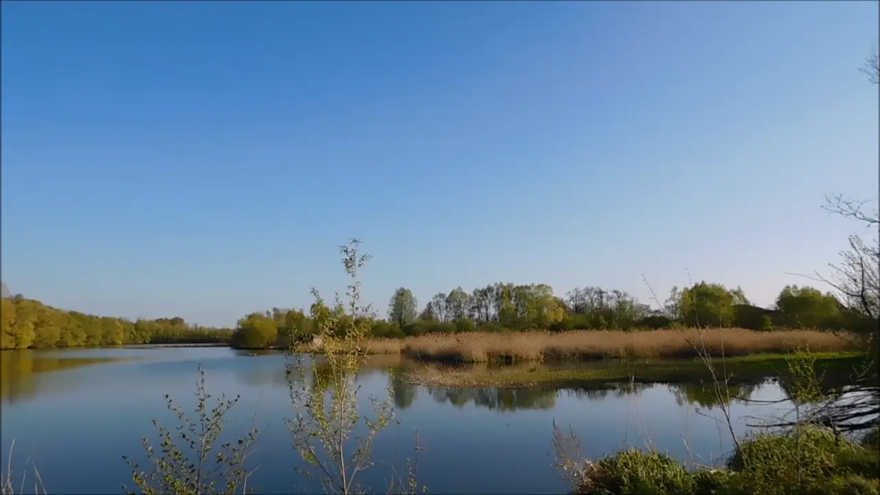 Titre de la vidéo manquant