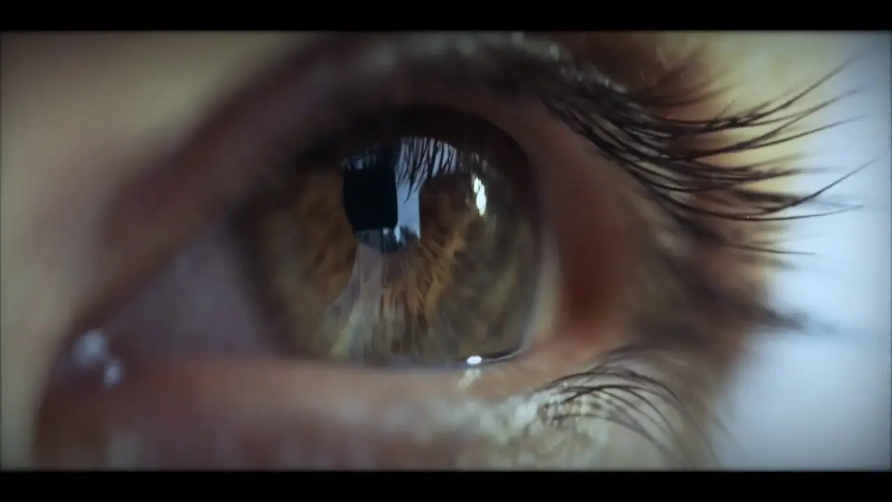 FORêT L’effet Vosges, le ressourcement par la forêt