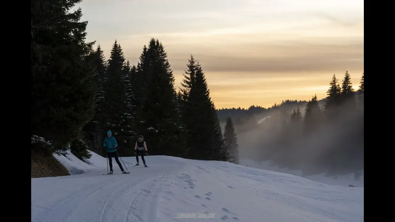 La nocturne Hibou Gourmand à Savoie Grand Revard