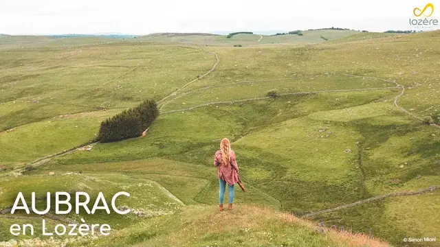 L'Aubrac