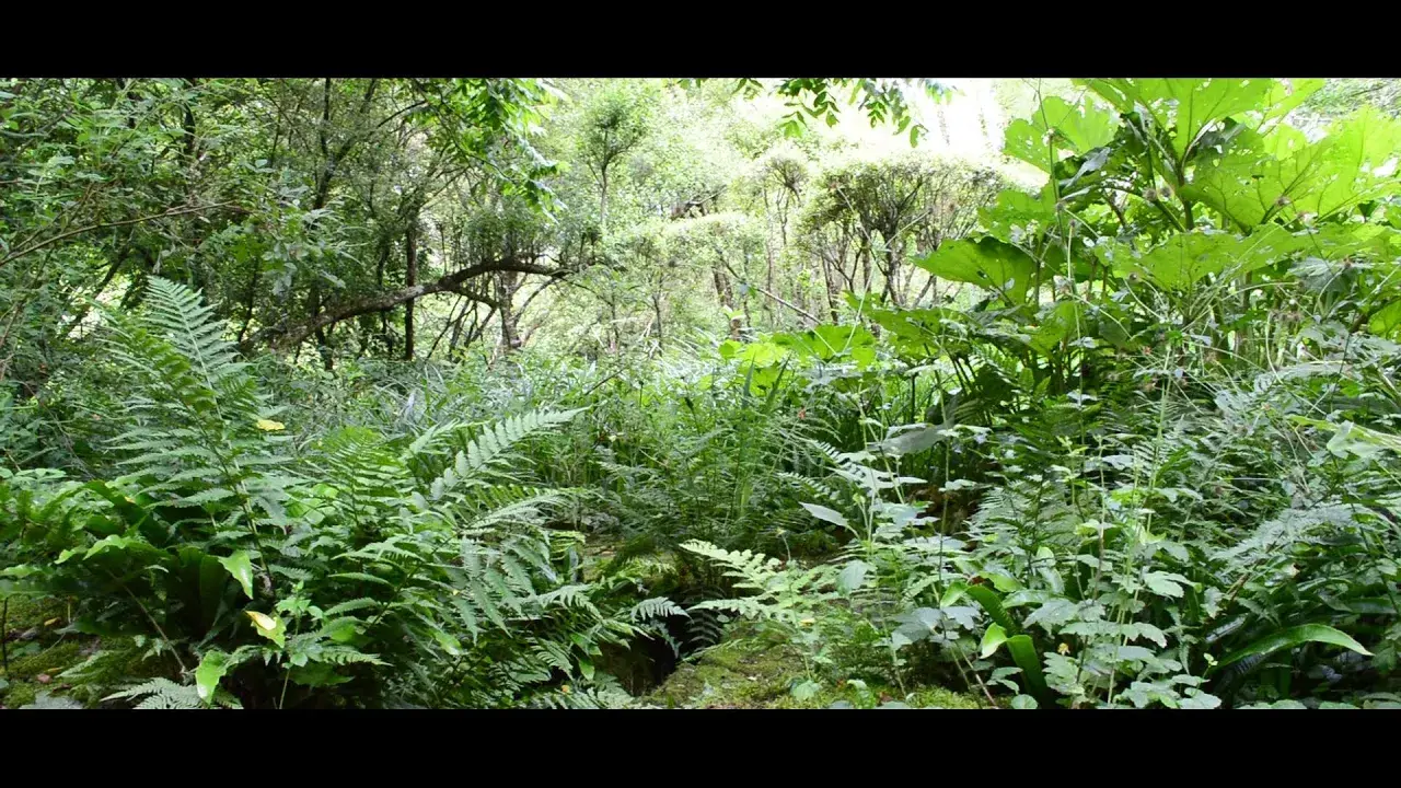 Jardin Clos du Préfons - Crozant (23)