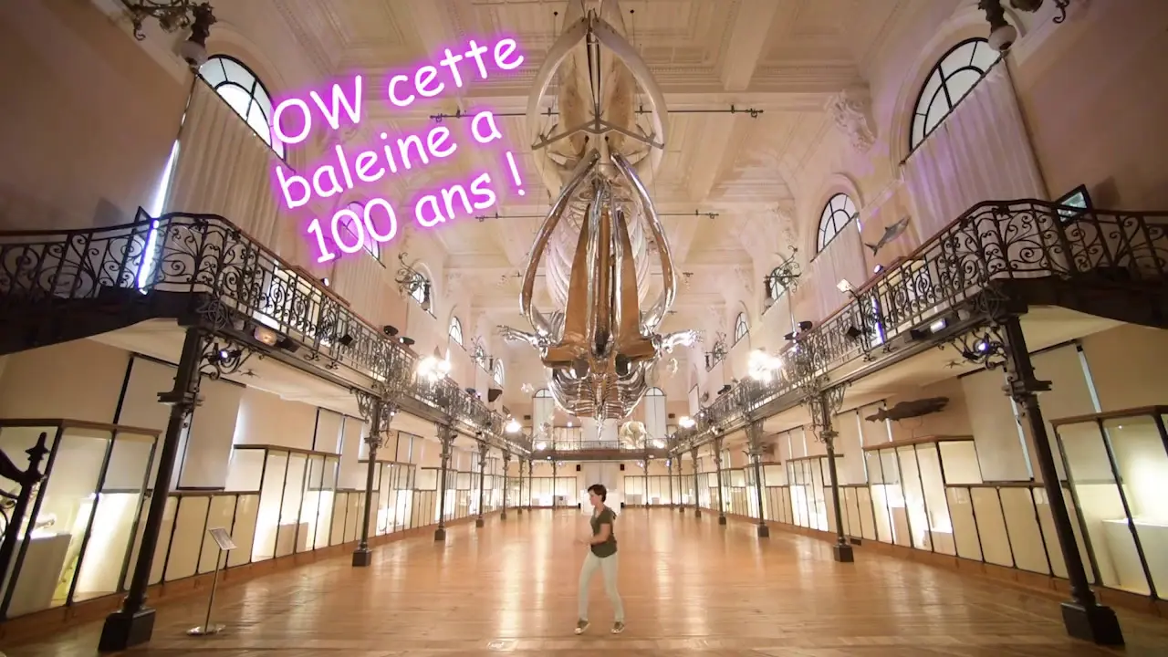 Visite complète du Musée océanographique de Monaco