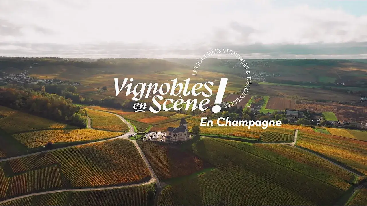 Vignobles en Scène en Champagne