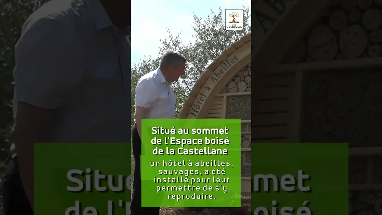 a l'espace boisé de la castellane, les abeilles sauvages dorment à l'hôtel