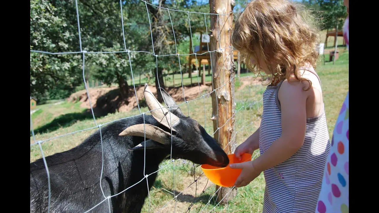 village de gîtes la ferme du duzou en aveyron
