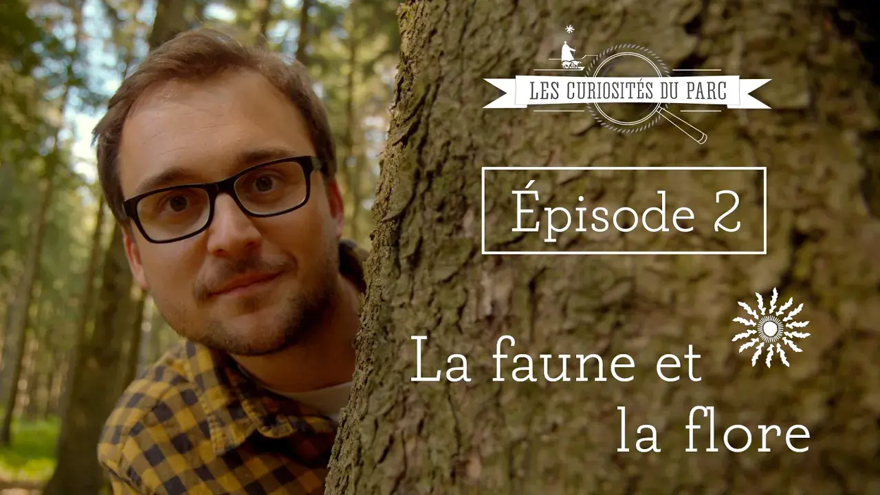 Les Curiosités du Parc EP2/S2 La faune et la flore