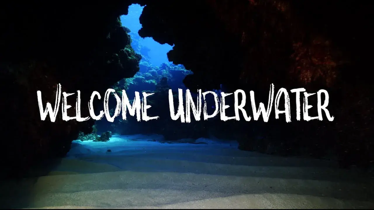 Titre de la vidéo manquant