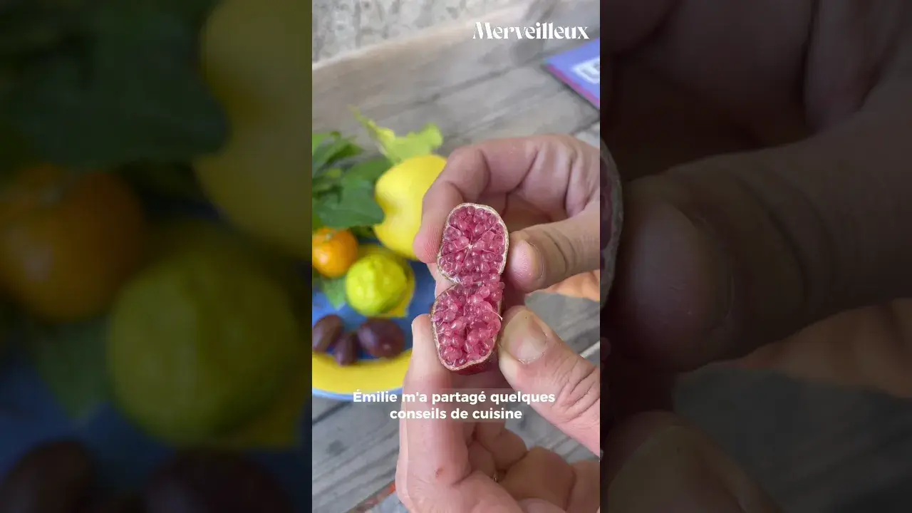 🍋 Et si l’hiver avait le goût du soleil ?