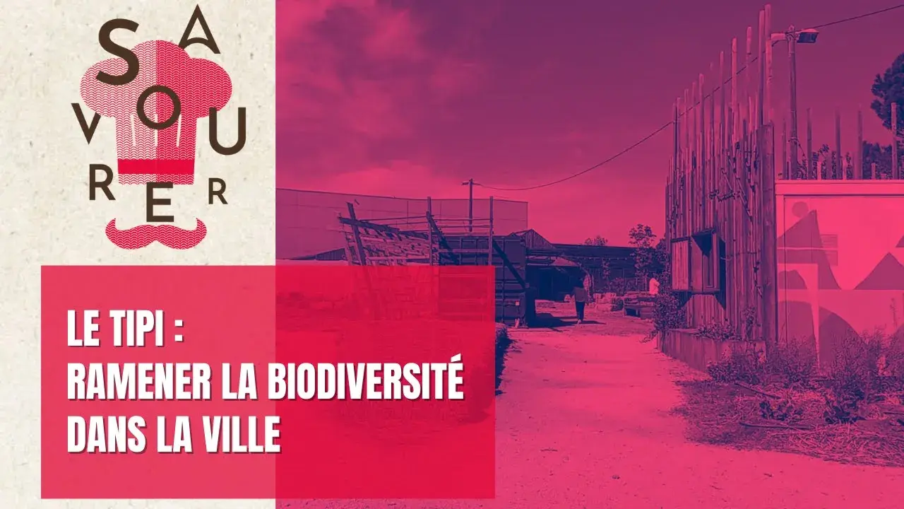 Le Tipi : ramener la biodiversité en ville