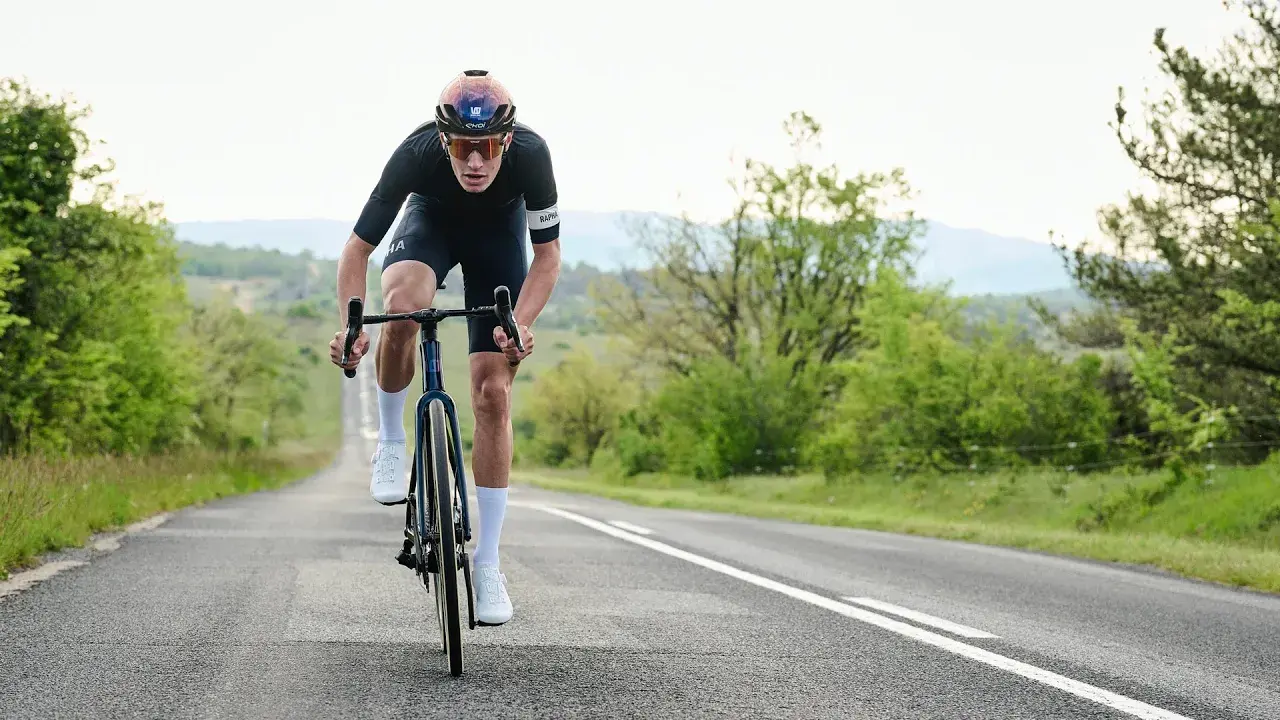 new wish one sub -2023