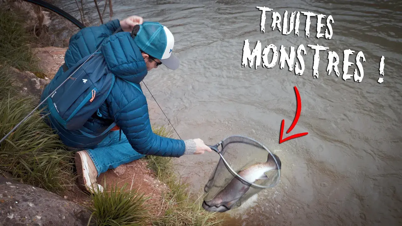 Des truites MONSTRES en plein CENTRE VILLE ?