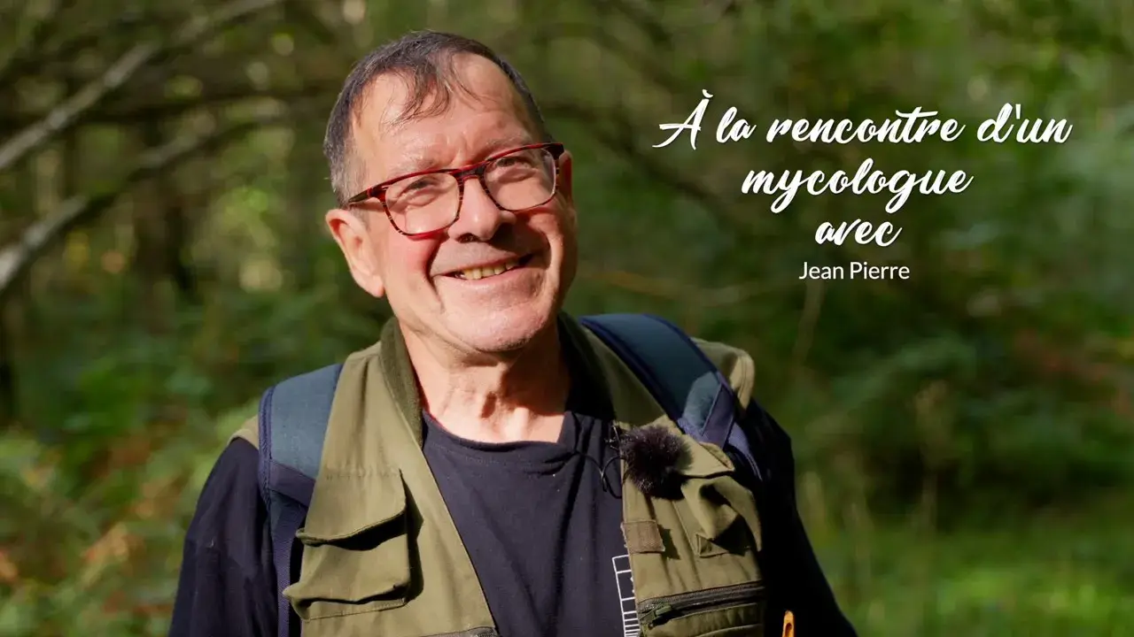 Rencontre avec un mycologue