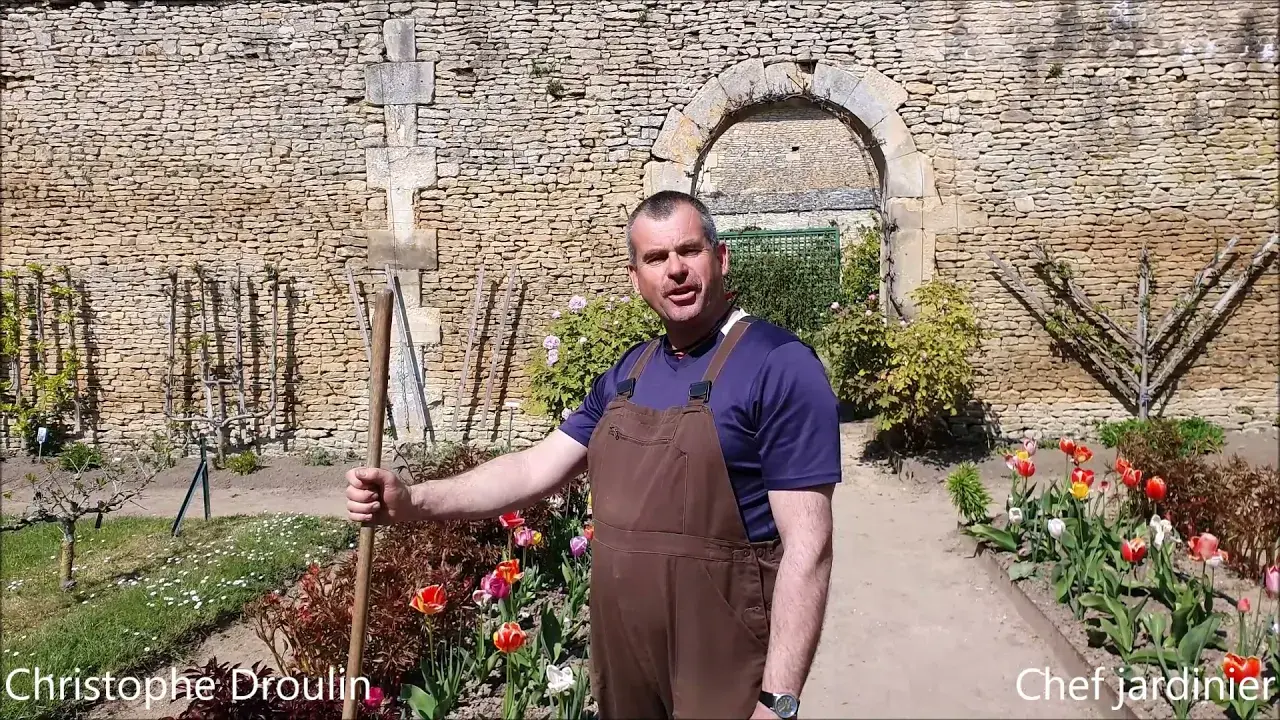 Tous ensemble, illuminons Canon !