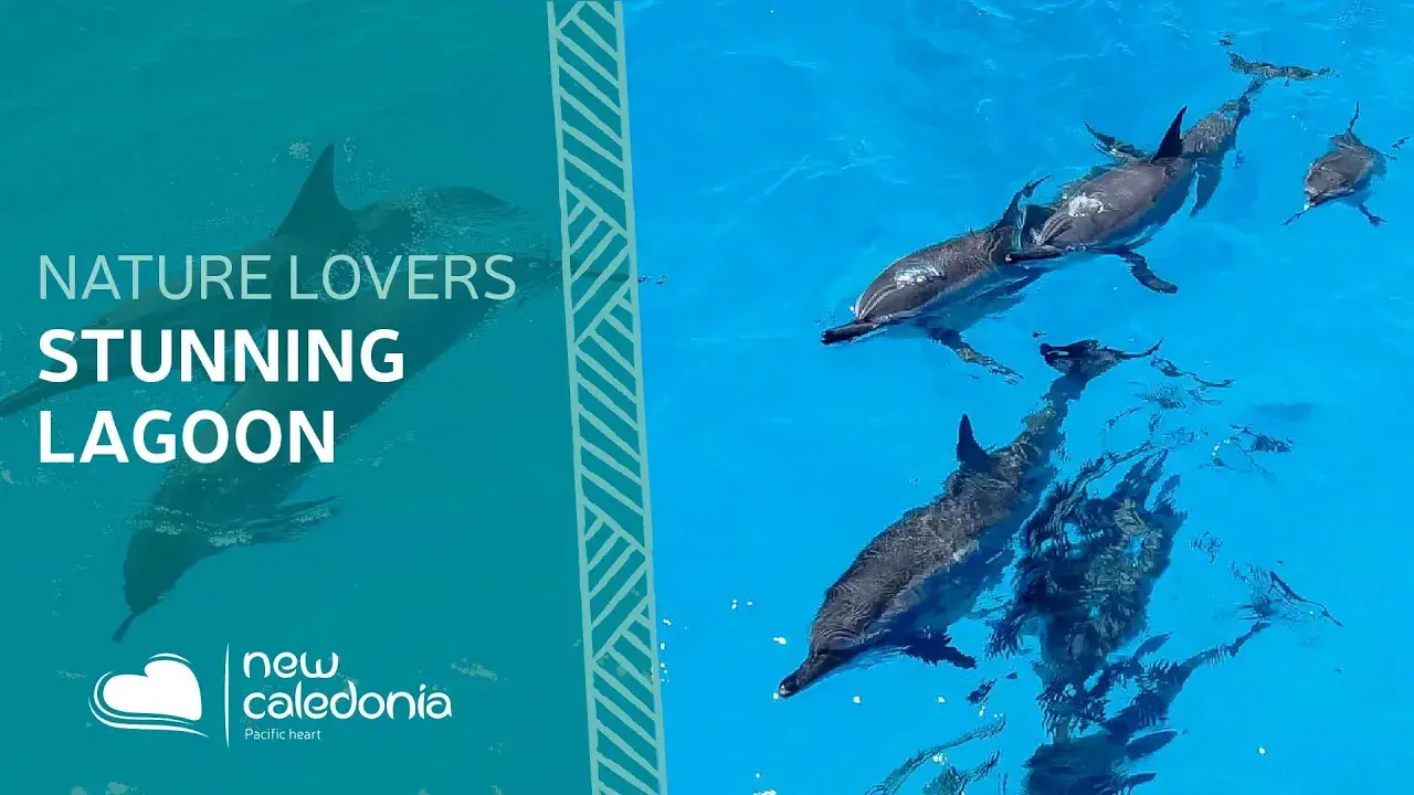 Stunning lagoon - Relaxing moment in New Caledonia