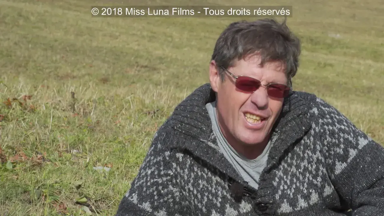 Fehlender Videotitel