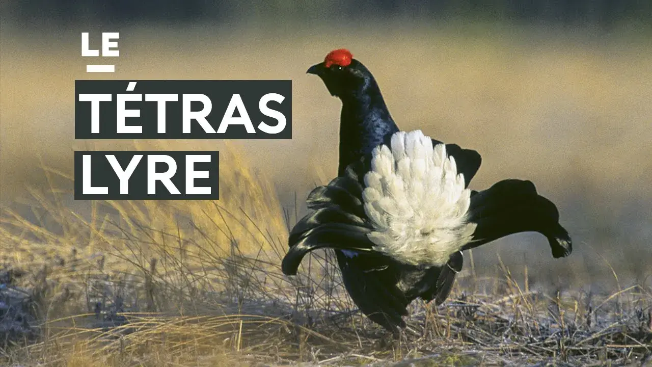 arboretum du cubertin