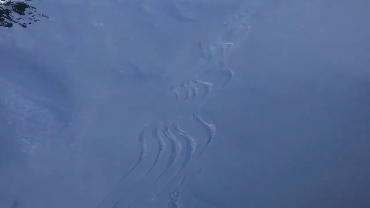 heliski avec joseph morelli