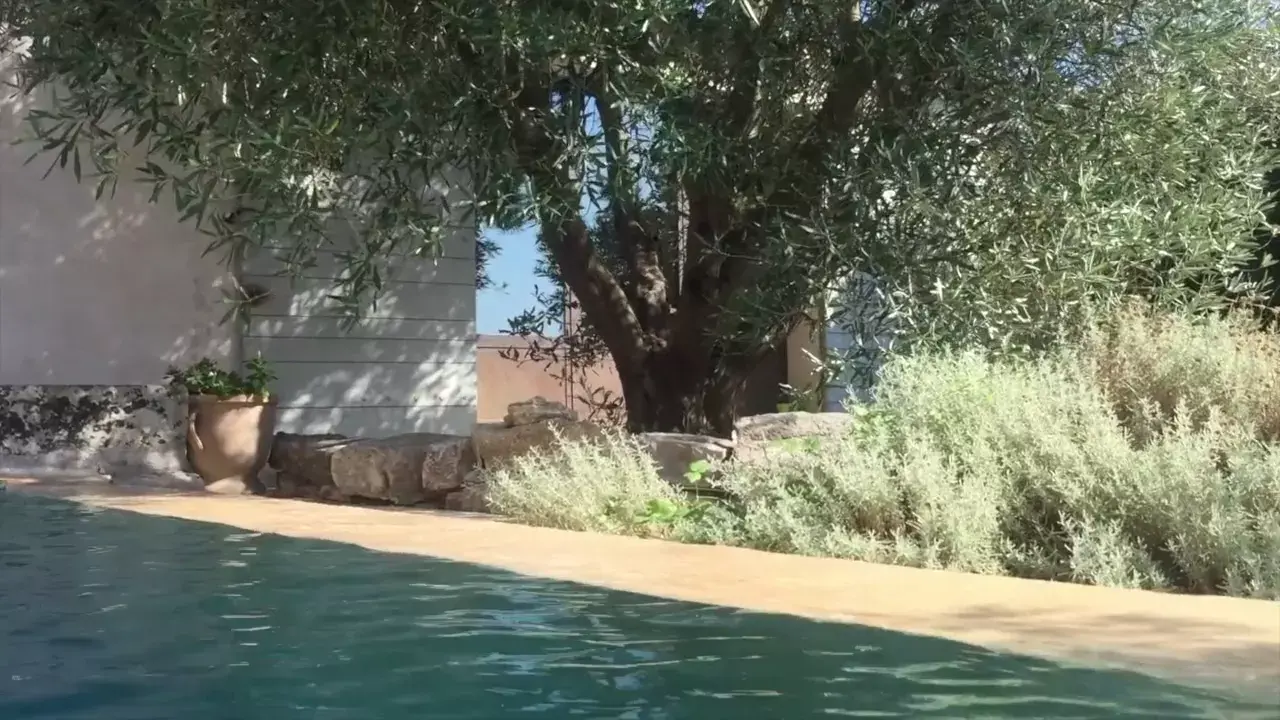 Fehlender Videotitel