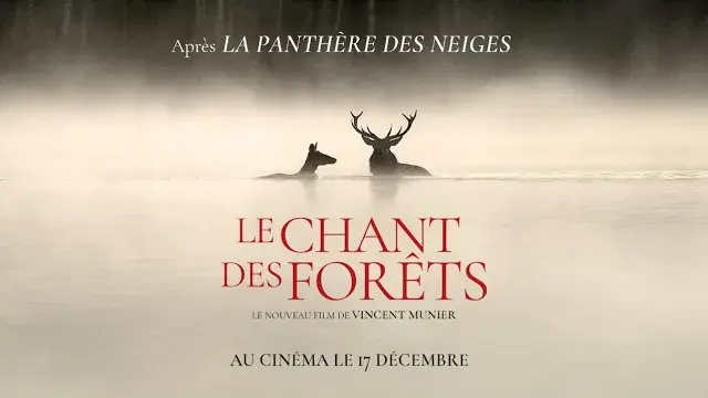 bande annonce le chant des forêts