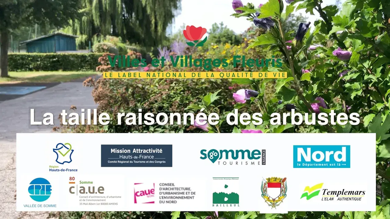 La taille raisonnée des arbustes - gestion respectueuse