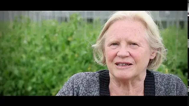Les Fermes du Plateau de Saclay - Le Jardin de Cocagne de Limon