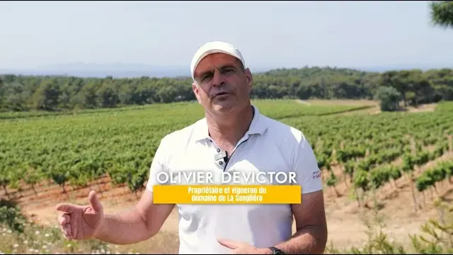 bomes les mimosas plus belle baie du monde