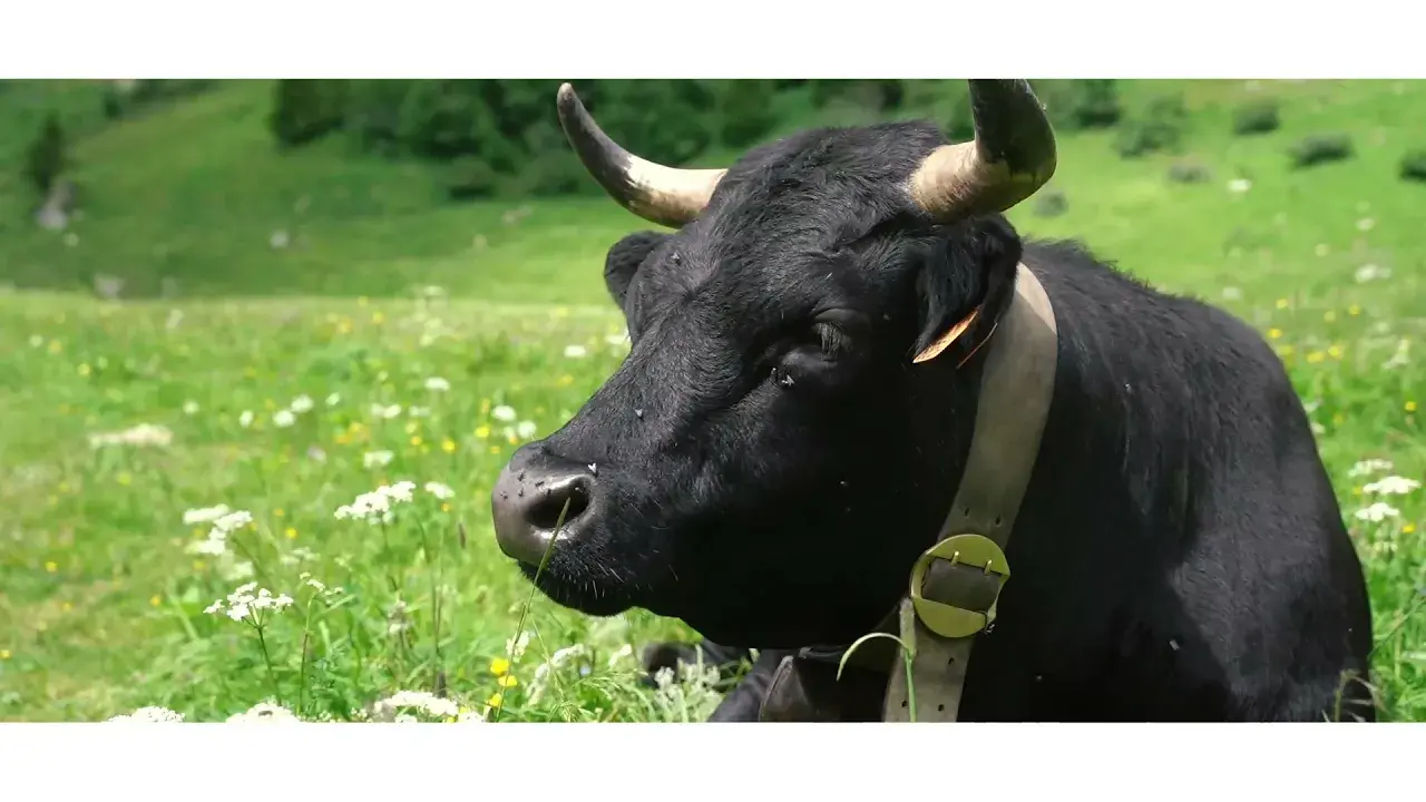 Reconnaissance du parcours de la Montée du Nid d'Aigle