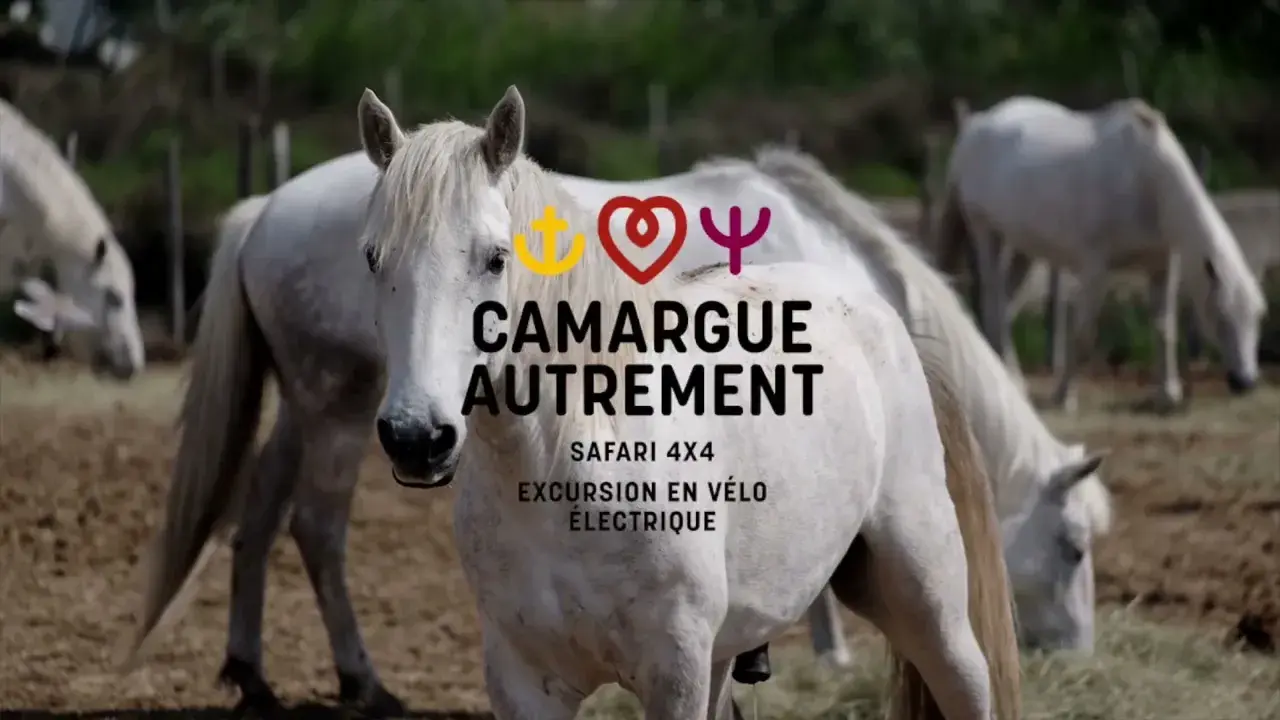camargue autrement