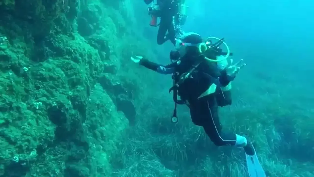 les dalles de bagaud à port-cros