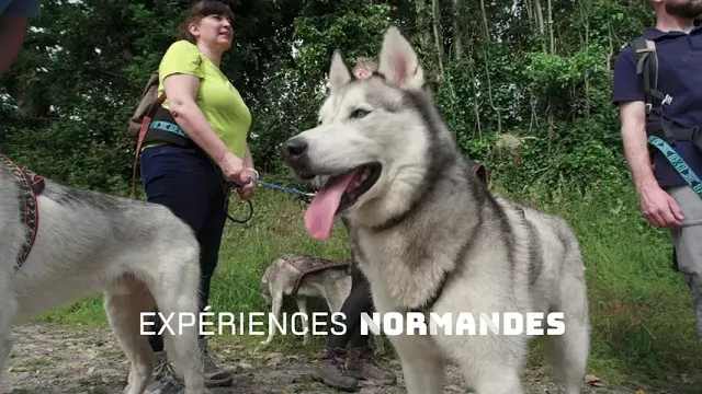 [ Expérience ] Cani-Rando autour de Saint-Céneri-le-Gérei