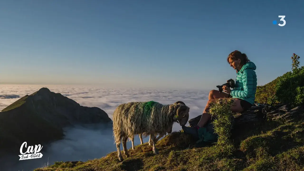 Cap Sud Ouest: Vallée d'Aspe, la montagne au féminin (replay)