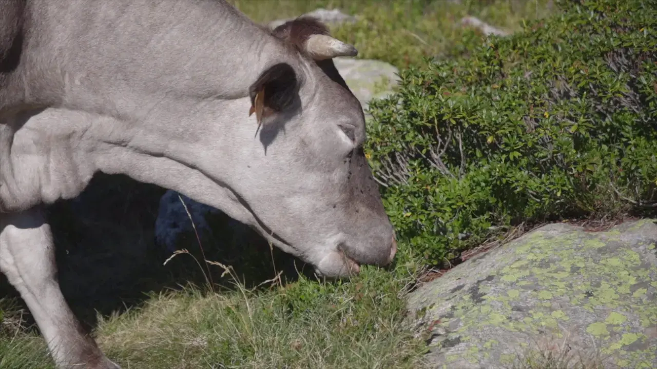 C'est aussi ça en été...