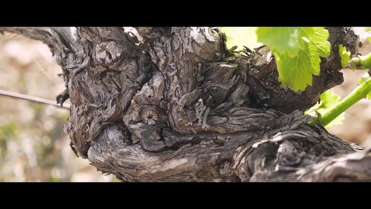 domaine vallon des glauges