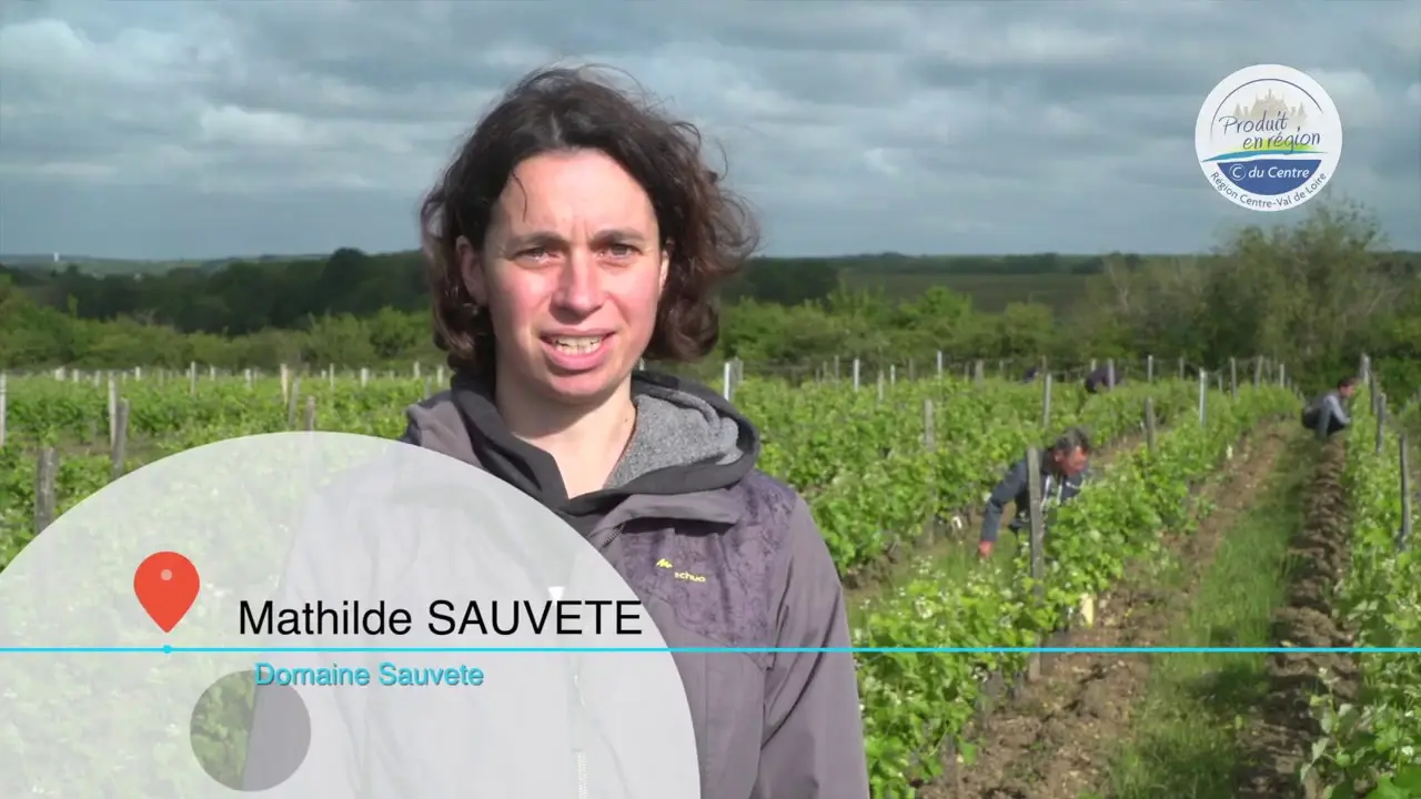 présentation domaine sauvete
