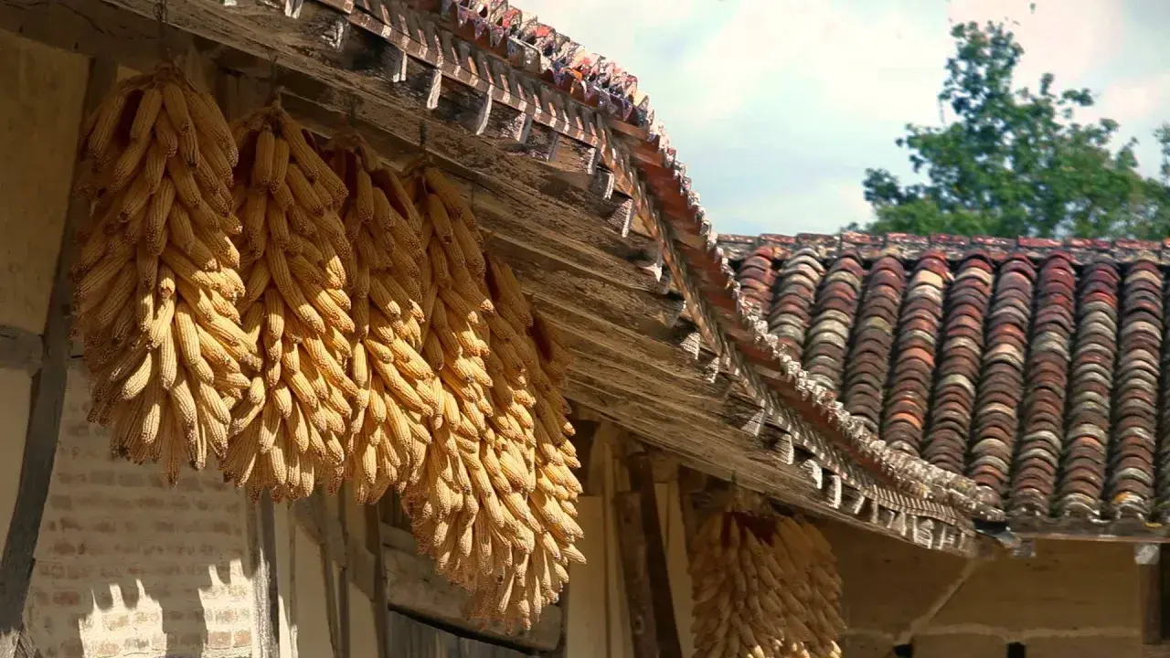 domaine des saveurs - les planons