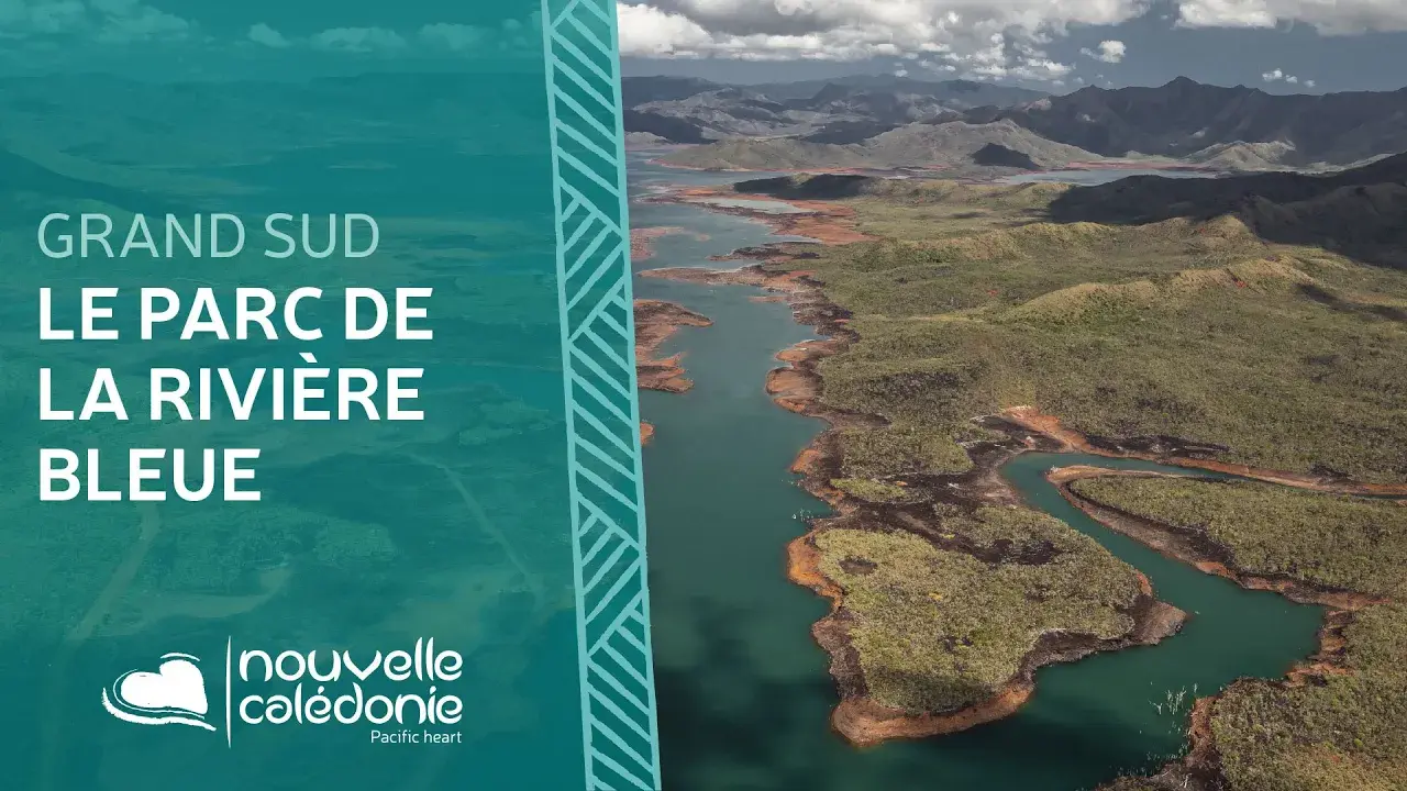 Le parc provincial de la Rivière Bleue de Nouvelle-Calédonie