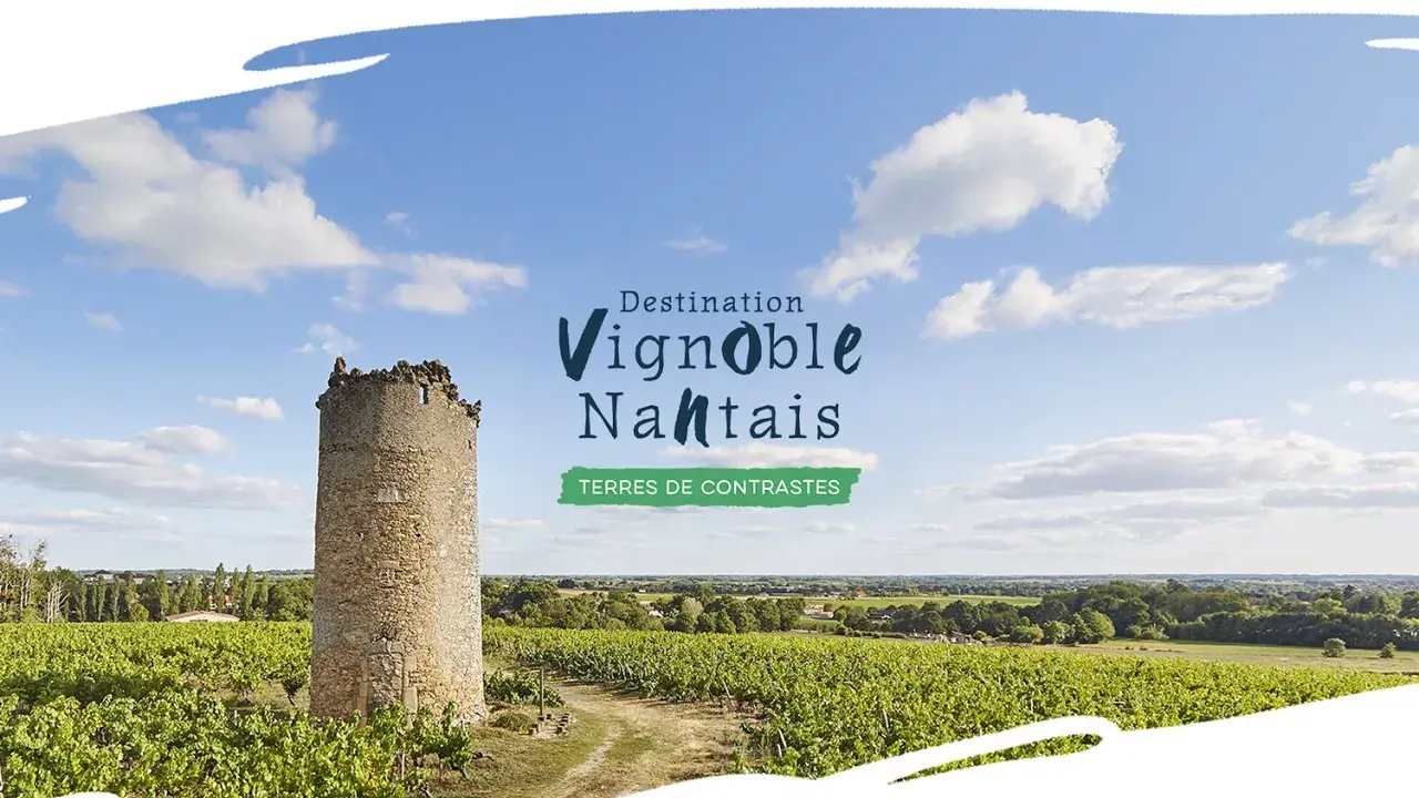 Destination Vignoble Nantais, Terres de contrastes