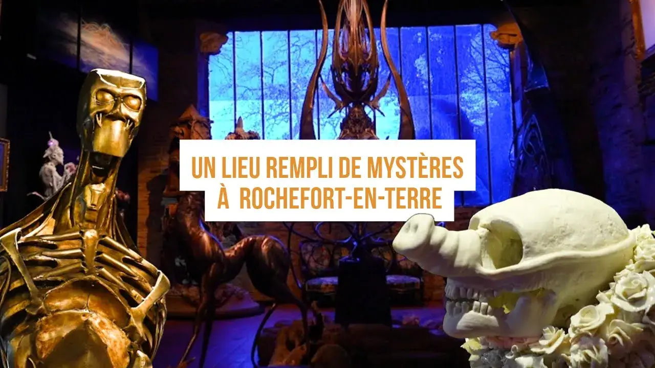 Ce lieu est rempli de mystères 🔮
